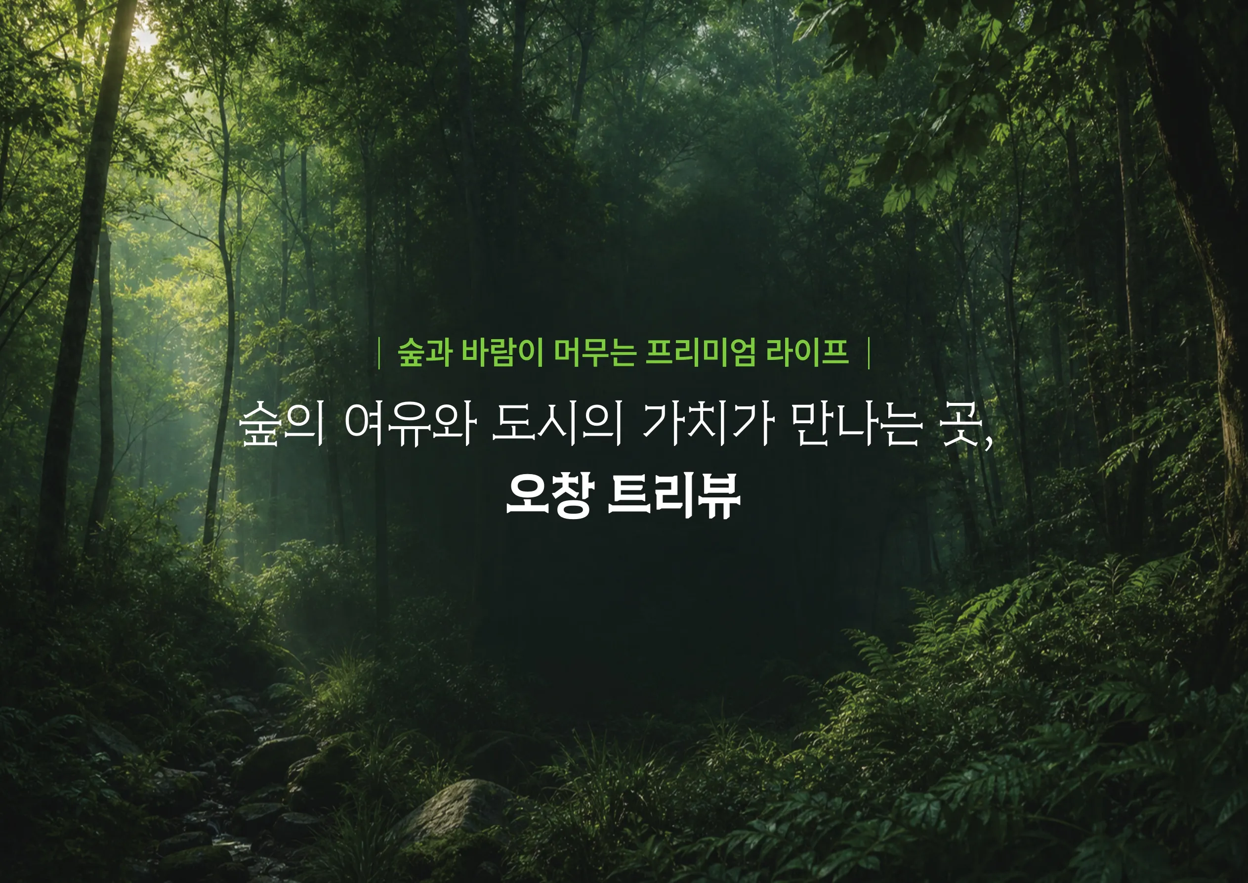 메인사진